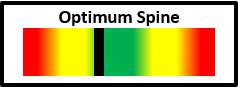 Spine Gauge